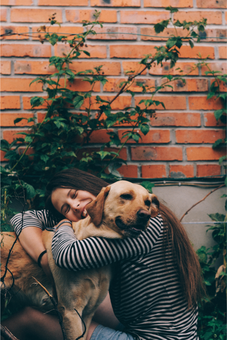 55 Girl Dog Names Inspired by Flowers The Dog Names Collection