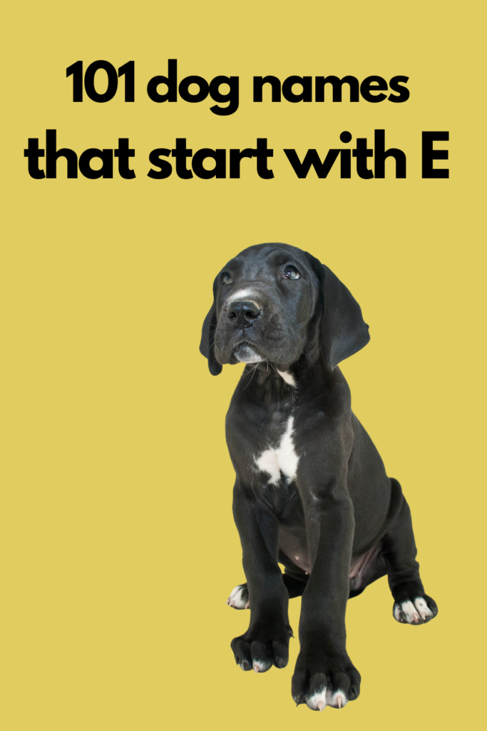 101 Dog Names that start with E