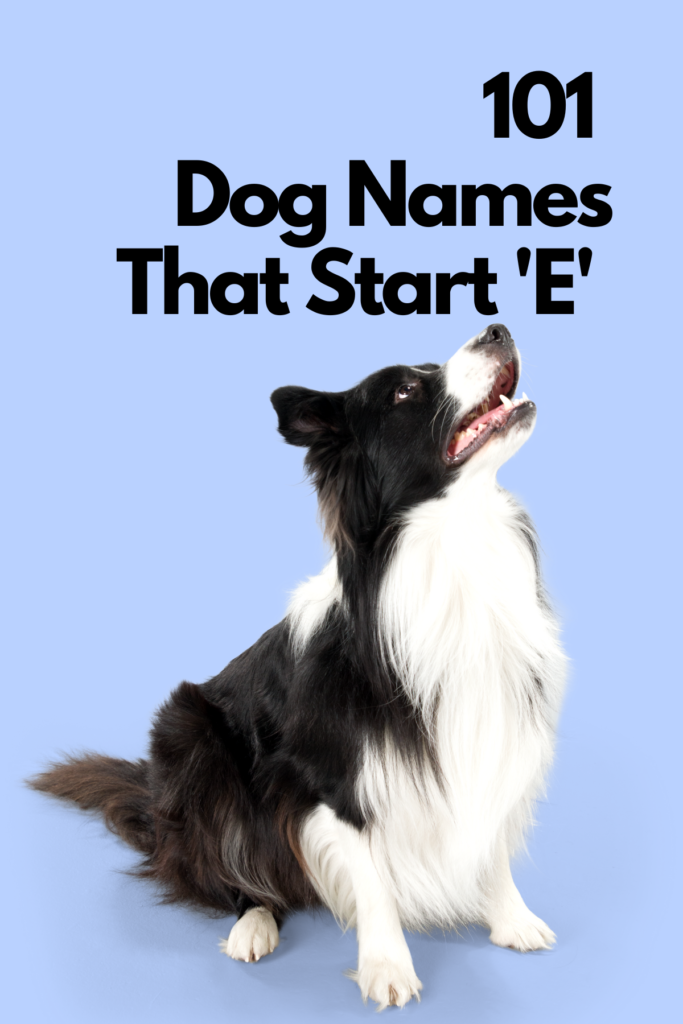 dog names starting with D