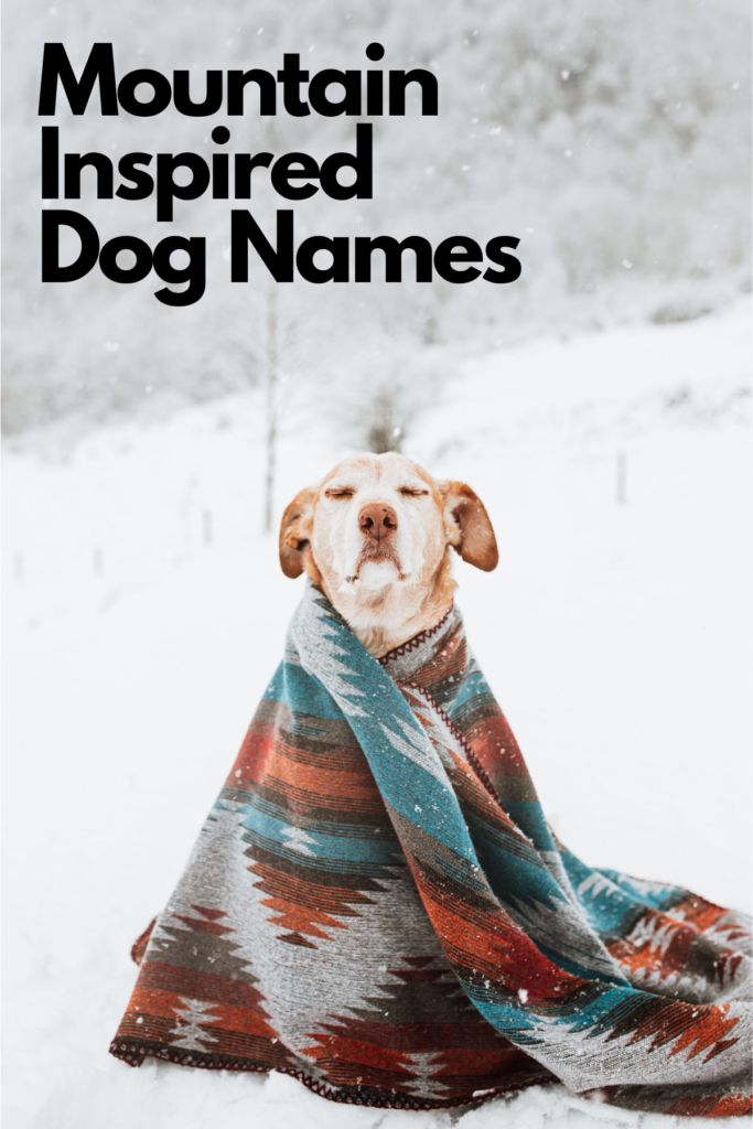 mountain inspired dog names