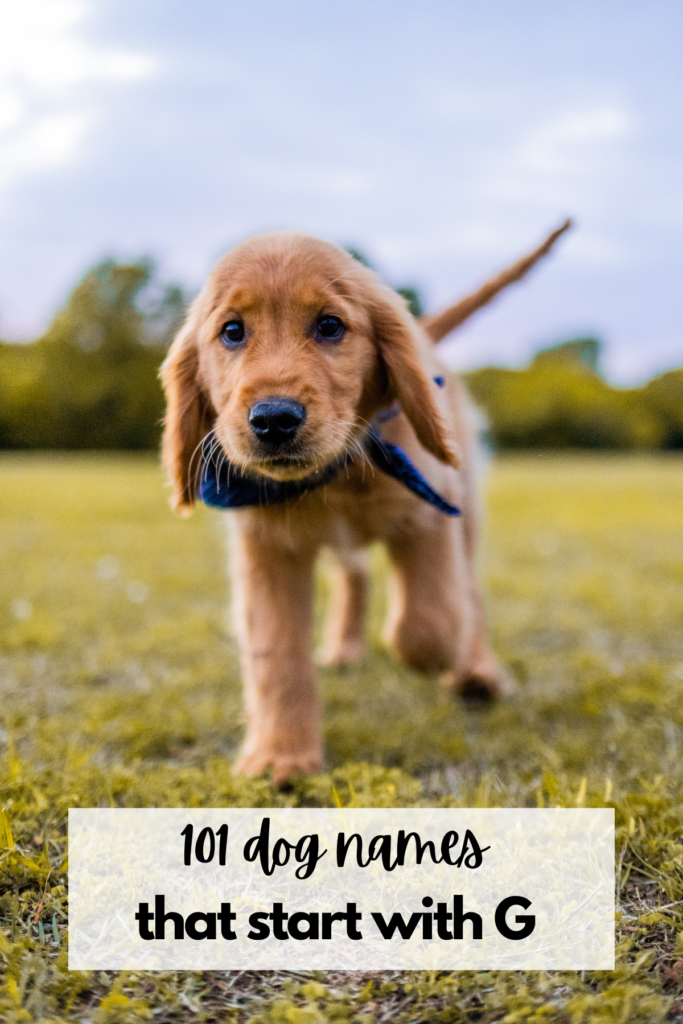 puppy names