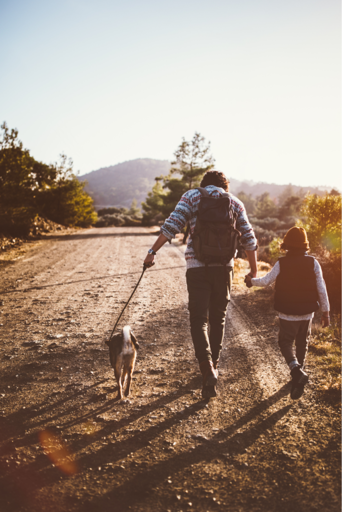 best dogs for hiking