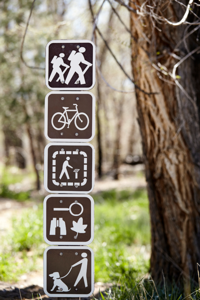 best dogs for hiking