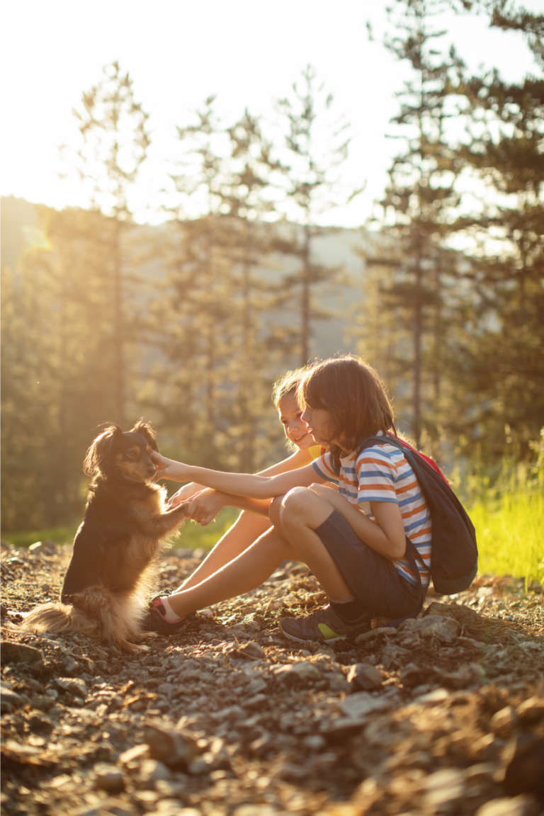 hiking kids and dog