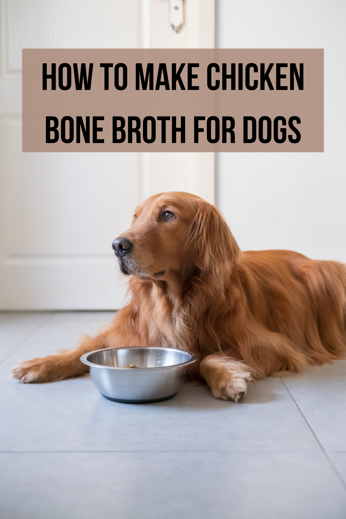 Homemade Chicken Bone Broth for Dogs