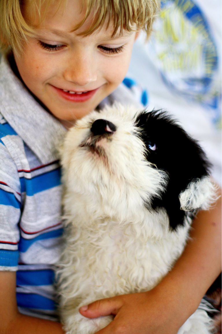 little boy with puppy