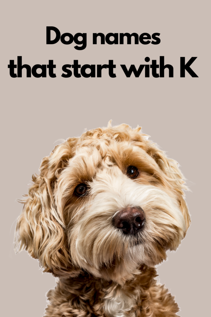 dog names that start with K